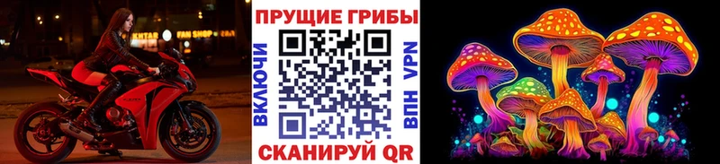Галлюциногенные грибы Cubensis  Чаплыгин 